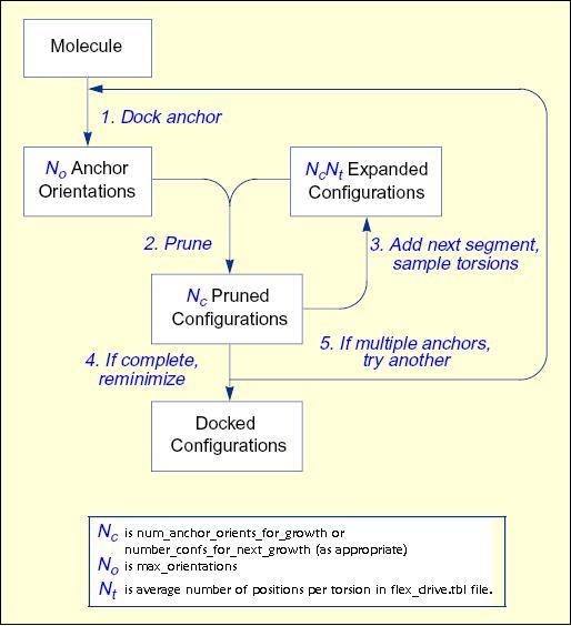 anchor_grow_workflow