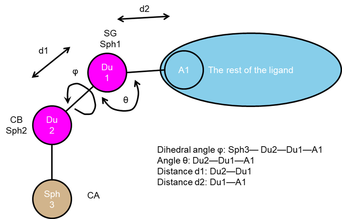 attach_and_grow_covalent