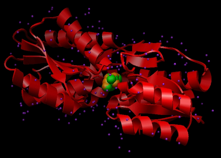 pdb